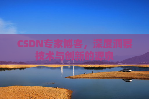 CSDN专家博客，深度洞察技术与创新的源泉
